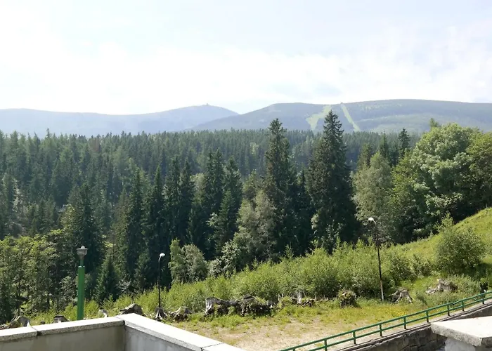 Piecuch Bed & Breakfast