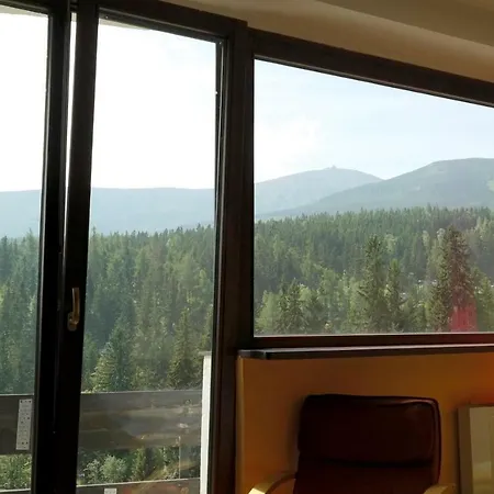 Piecuch カルパッチ